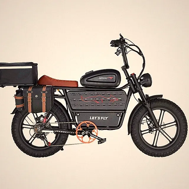 20" Electric Bike for Adults 2000W Power 48V 60AH 125 Miles City Cruiser Ebike