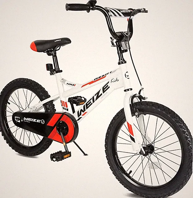 20" Kids Bike,Rider Height 38-60 Inch, Coaster Brake, Free Portable Bike Pump