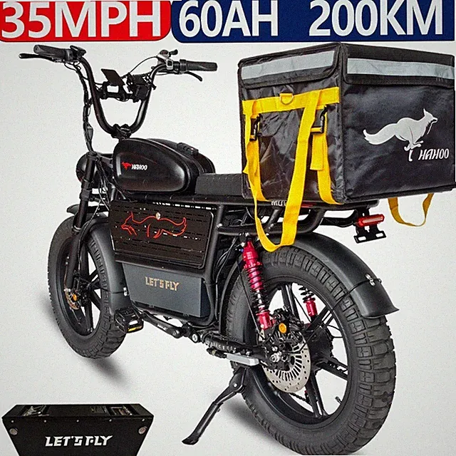 2000W Motor Ebike 20" 48V Mountain City Electric Bike Delivery Bicycle for Adult
