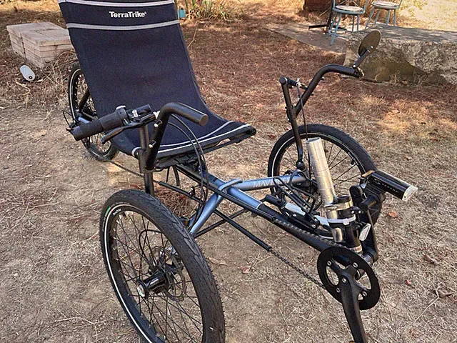 Terratrike Tricycle 3 Wheel Bike for Adults Great Condition Black Color Bike US
